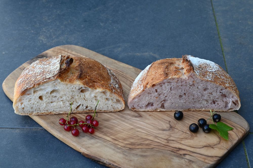 Read and black currant bread